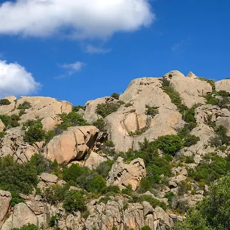 Elegant バージャ・サルディニア